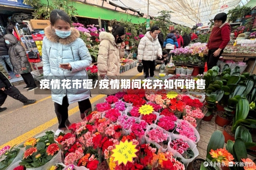 疫情花市砸/疫情期间花卉如何销售-第2张图片