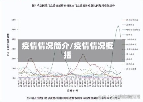 疫情情况简介/疫情情况概括-第2张图片