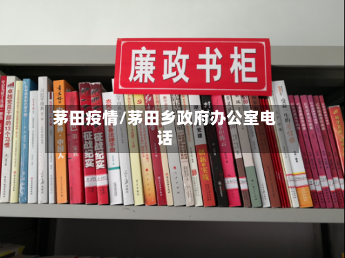 茅田疫情/茅田乡政府办公室电话-第3张图片