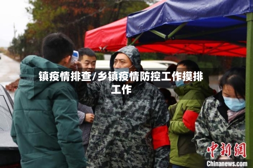 镇疫情排查/乡镇疫情防控工作摸排工作-第2张图片