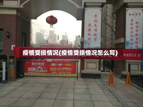疫情受损情况(疫情受损情况怎么写)-第3张图片