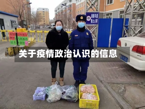 关于疫情政治认识的信息-第3张图片