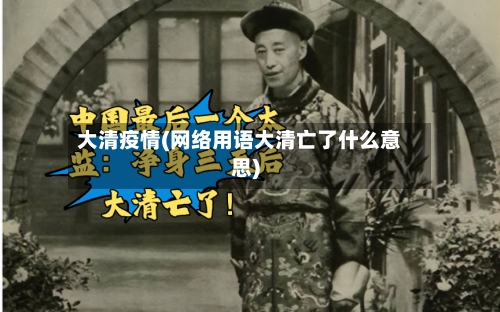大清疫情(网络用语大清亡了什么意思)-第2张图片