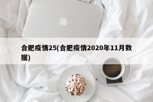 合肥疫情25(合肥疫情2020年11月数据)
